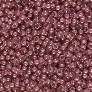 Miyuki seed beads 11/0 - Lined berry luster 11-364